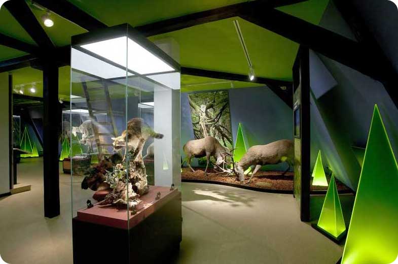 Haus der Natur in Goldisthal