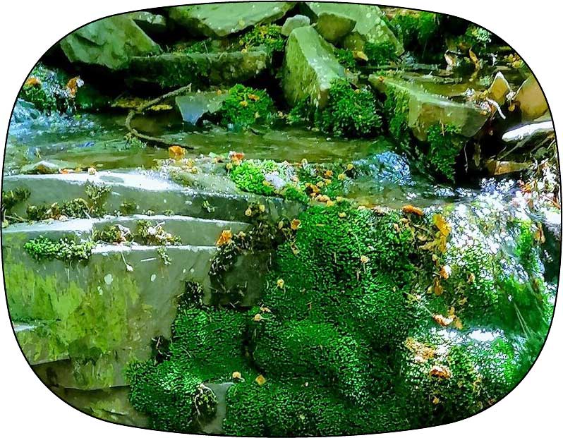 Naturparkzentrum Thüringer Wald