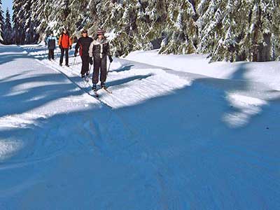 Thüringer Wintermärchen